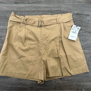 Zara Shorts